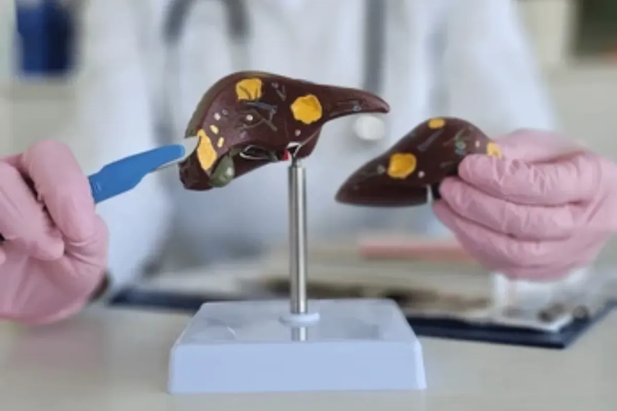 Liver Resection Instruments Find Affordable Quality Care Abroad | Fitsib